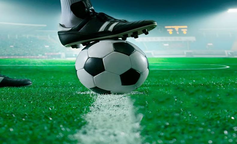 Tìm hiểu các tỷ lệ cược trong kèo lựa thường gặp nhất